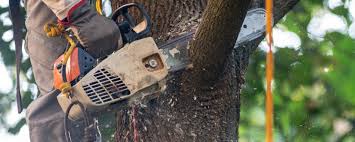 Best Aeration Services  in Checotah, OK