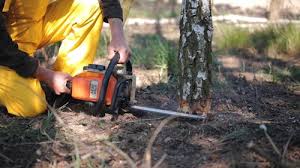 Best Mulching Services  in Checotah, OK