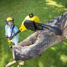 Best Tree and Shrub Care  in Checotah, OK